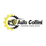 Auto Collini